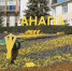 Нажмите для предварительного просмотра изображения - Anapa.Media