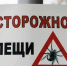 В Анапе начался сезон клещей - Anapa.Media