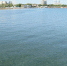 Качество морской воды в районе пляжей Анапы соответствует санитарным нормам - Anapa.Media