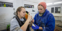 Экологическое бедствие в Анапе. Ситуация на вечер 18 декабря - Газета Анапское Черноморье