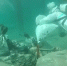 Более 1100 погружений для сбора мазута совершили водолазы в Анапе - Anapa.Media