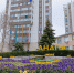 В Анапе высадят 10 тысяч деревьев и кустарников - Anapa.Media
