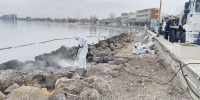 МЧС продолжает очистку камней в районе Центрального пляжа и морского порта Анапы - Anapa.Media