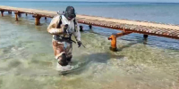 Водолазы 31 марта собрали на дне моря в Анапе 61 мешок мазута - Anapa.Media
