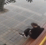 В Анапе ловко ограбили уснувшего на лавочке мужчину - Anapa.Media