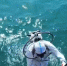 Водолазы за день подняли со дна моря у побережья Анапы 253 мешка замазученного грунта - Anapa.Media