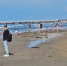 В Анапе продолжается купальный сезон - Anapa.Media