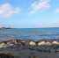 В Анапе 22 ноября будет +21 градус - Anapa.Media