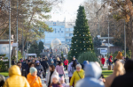 Cпрос на отели Анапы в новогодние праздники взлетел на 30%