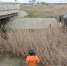 Спасатели Анапы приступили к расчистке водоёмов - Anapa.Media
