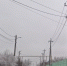 Девять пригородов Анапы остались без света - Anapa.Media