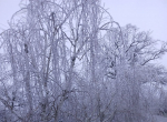 Семь пригородов Анапы остаются без света