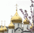 Самая большая награда – родительская  любовь - ТРК Анапа Регион